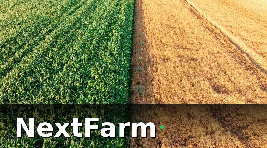 NextFarm — So sánh phần mềm vườn tiêu phổ biến tại Việt Nam