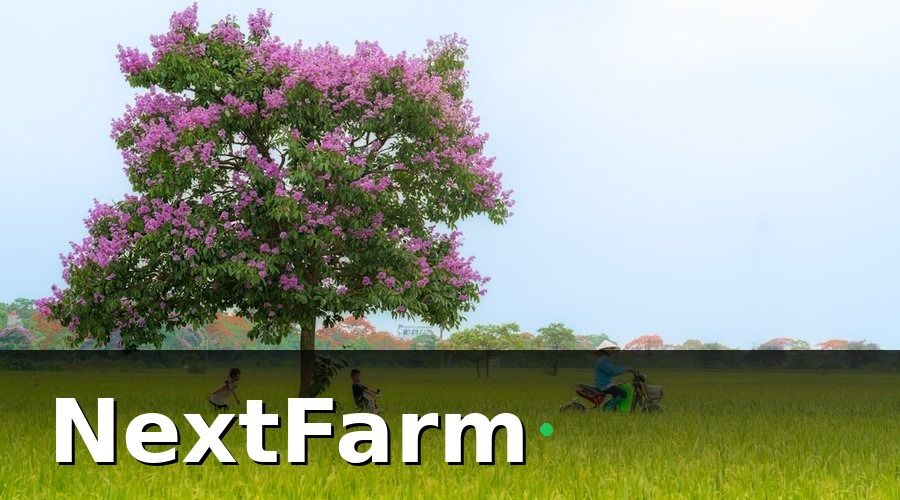 NextFarm — Tại Sao Nông Nghiệp Lại Hấp Dẫn Startup Đến Vậy?
