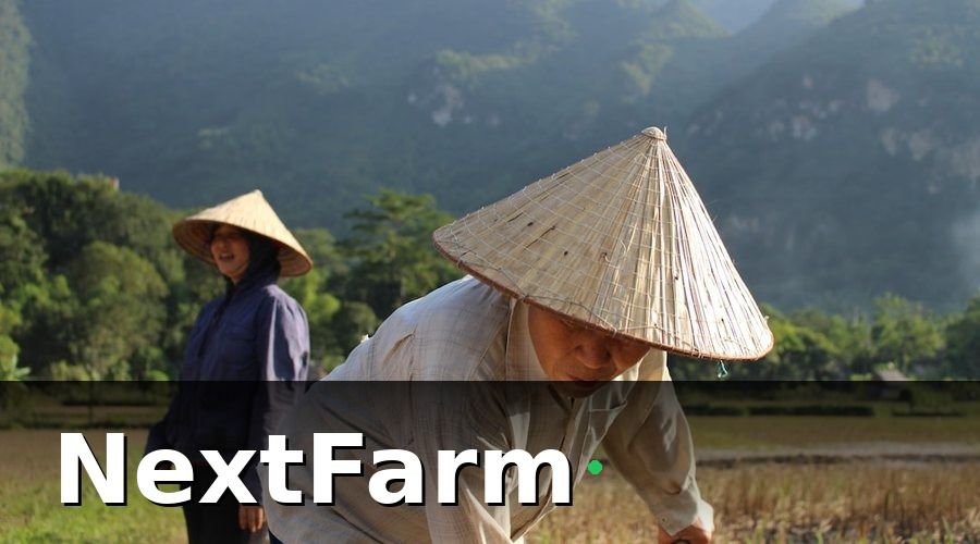 NextFarm — Bức Tranh Startup Nông Nghiệp Việt Nam Năm 2026