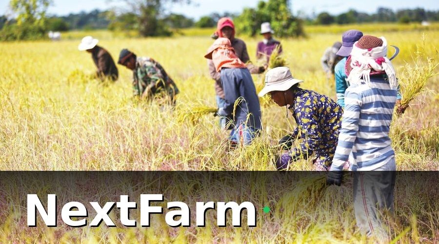 NextFarm — Tập Huấn VietGAP Là Gì Và Tại Sao Quan Trọng