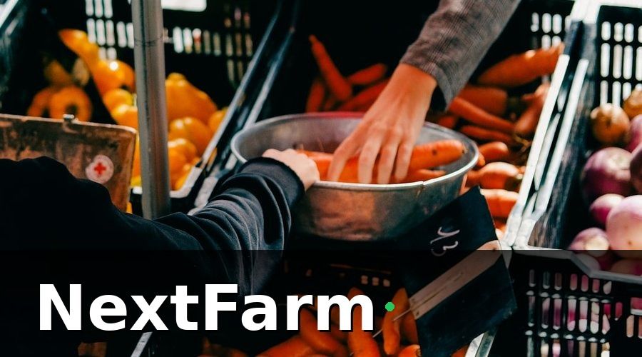 NextFarm — Nội Dung Tập Huấn VietGAP Gồm Những Gì