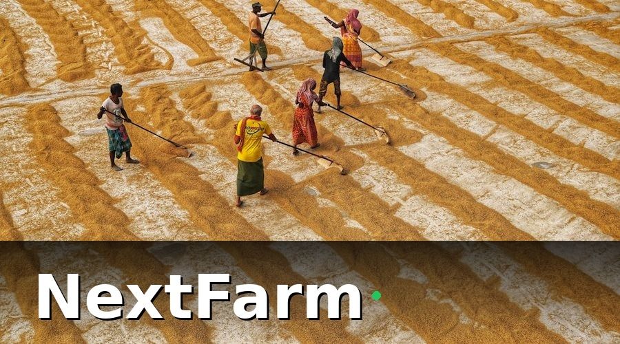 NextFarm — Chi Phí Thành Lập HTX Nông Nghiệp Thực Tế