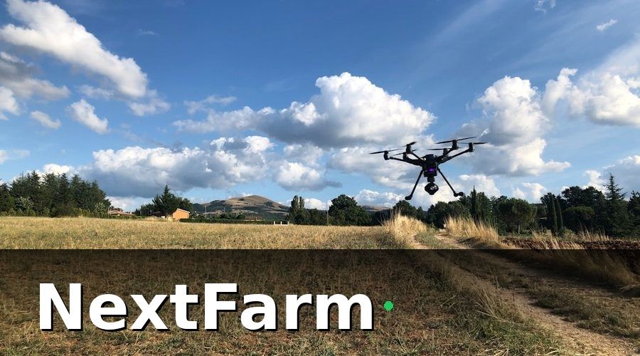 NextFarm — Cơ Hội Lớn Trên Thị Trường Nông Sản 2026