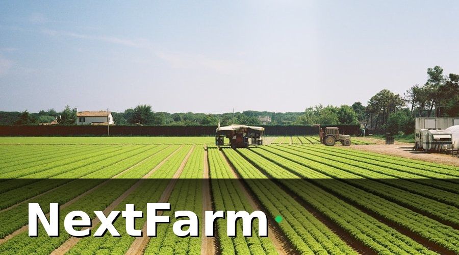 NextFarm — 5 Xu Hướng Định Hình Thị Trường Thực Phẩm Năm 2026