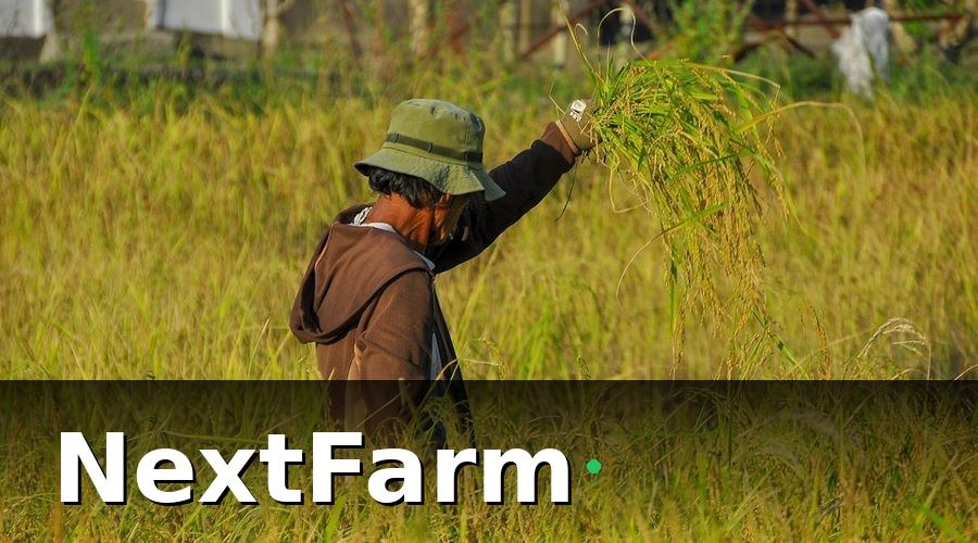 NextFarm — Cơ Hội Thực Tế Cho Nông Trại Và HTX Việt Nam