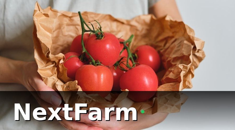 NextFarm — Shopee, Lazada, TikTok Shop — Mỗi Sàn Một Đặc Thù