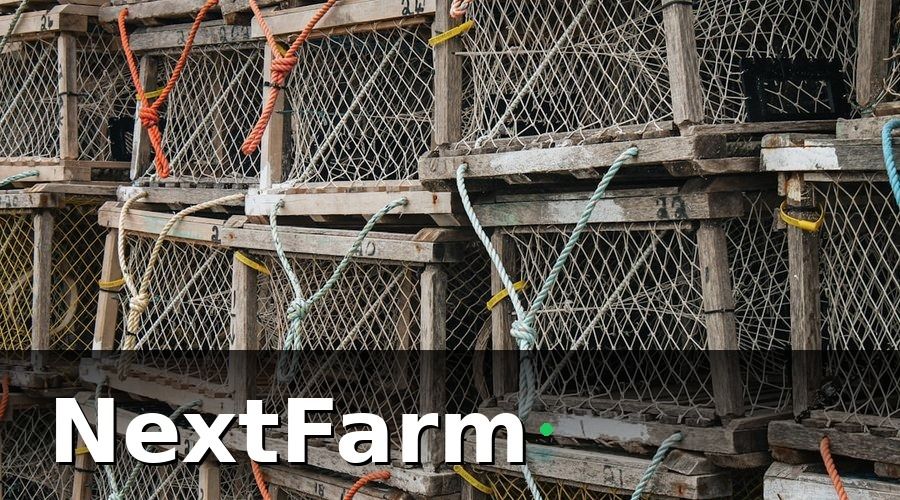 NextFarm — Yêu Cầu Truy Xuất Nguồn Gốc — Không Còn Là Lựa Chọn
