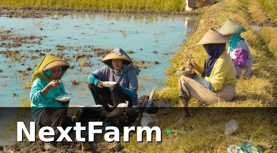 NextFarm — Các Mô Hình Tích Hợp Phổ Biến Tại Nông Trại Việt Nam