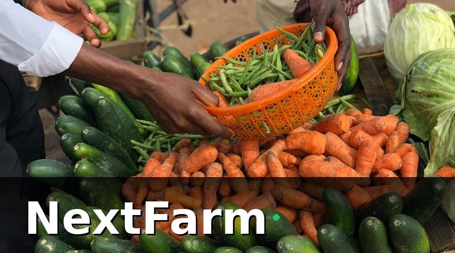 NextFarm — HACCP và kế toán: Tại sao hai hệ thống này cần 