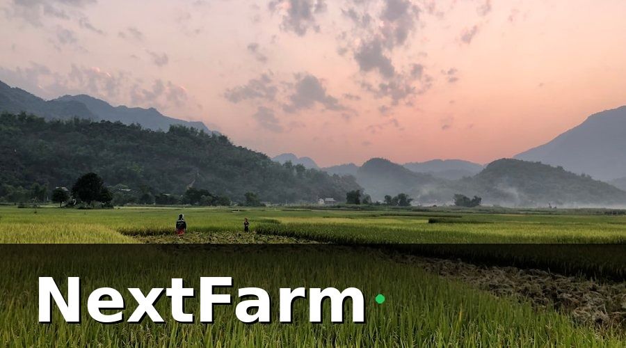 NextFarm — Lợi ích thực tế khi tích hợp ruộng lúa với kế toán