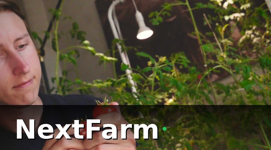 NextFarm — Tại Sao Trang Trại Rau Thủy Canh Cần Kết Nối với Kế Toán?