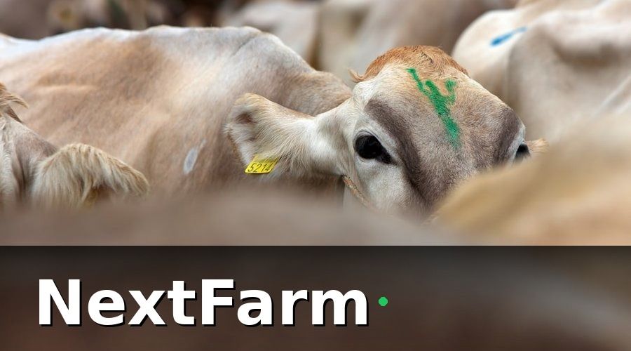NextFarm — Các Module Cần Kết Nối Trong Hệ Thống Tích Hợp