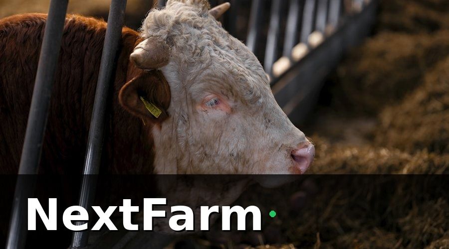 NextFarm — Những Module Nào Của Trang Trại Heo Cần Kết Nối với Kế Toán?