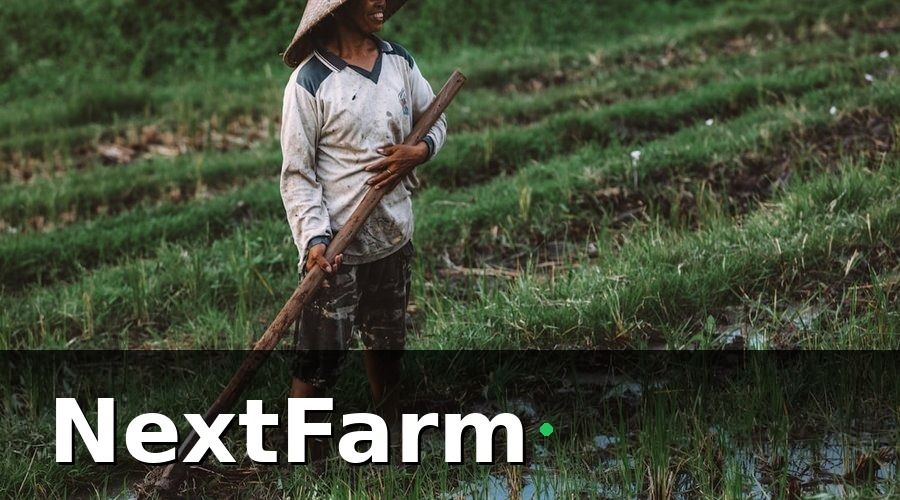 NextFarm — Tại Sao Nông Trại VietGAP Cần Tích Hợp Kế Toán?
