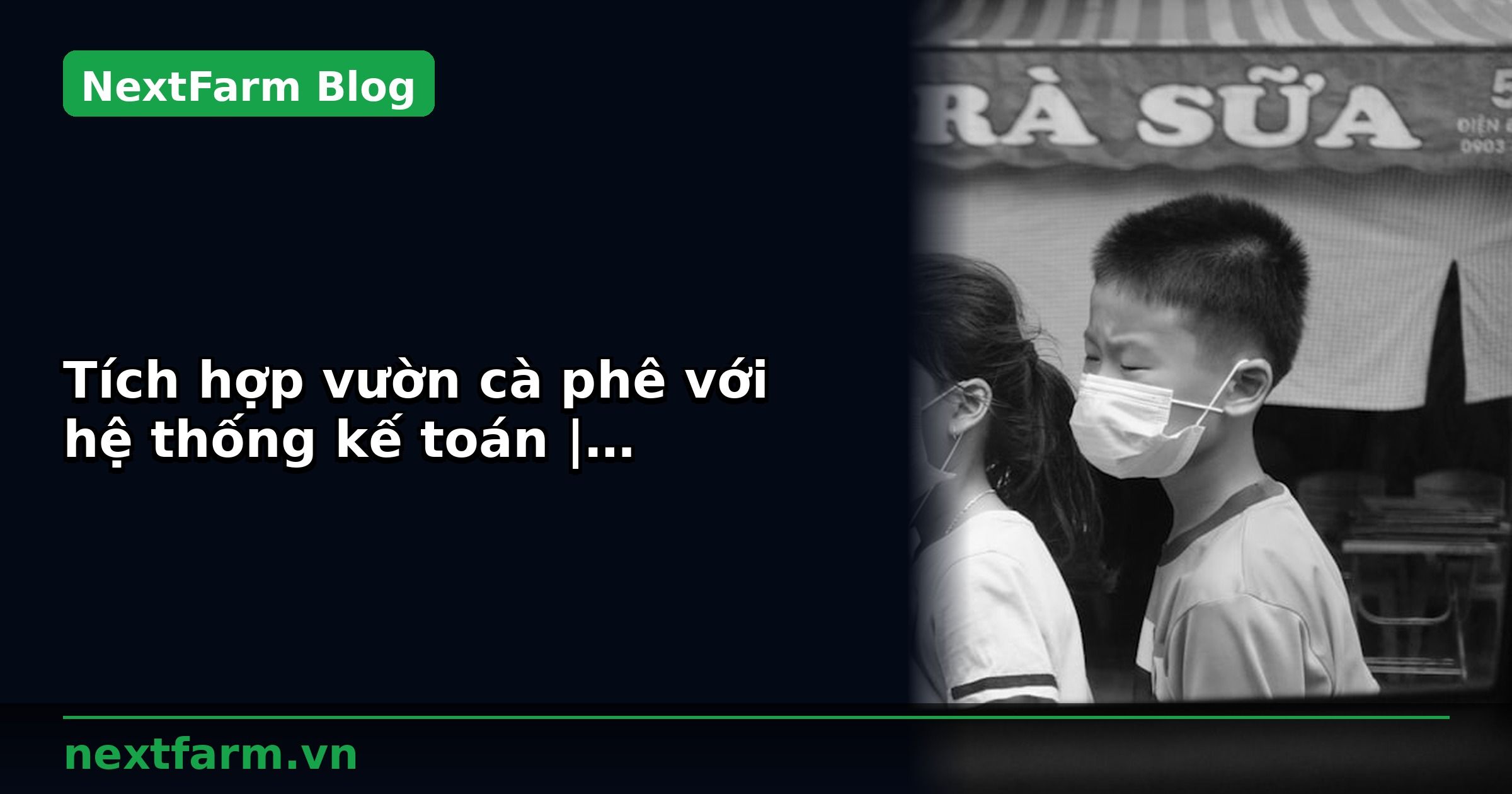 Tích hợp vườn cà phê với hệ thống kế toán | NextFarm