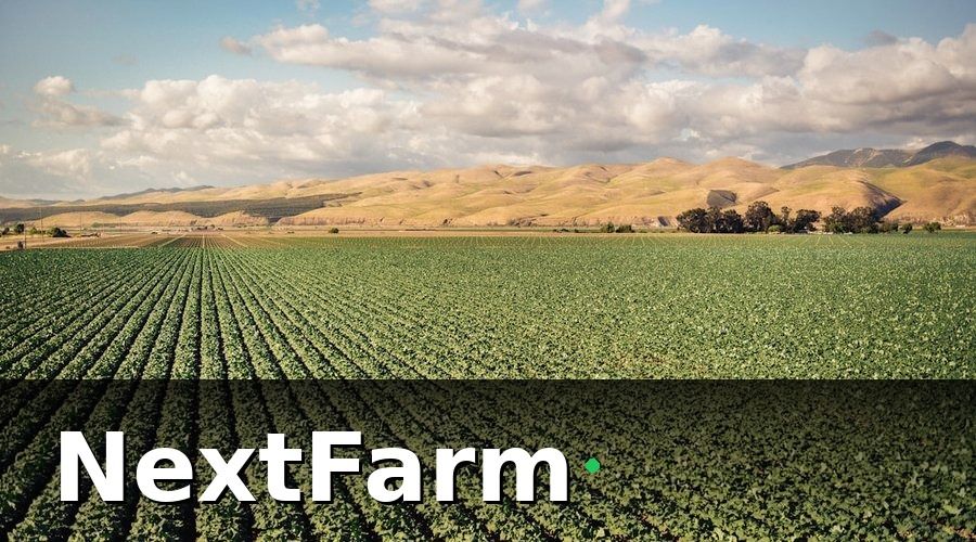 NextFarm — Những chỉ số tài chính quan trọng mà chủ vườn cà phê cần theo dõi