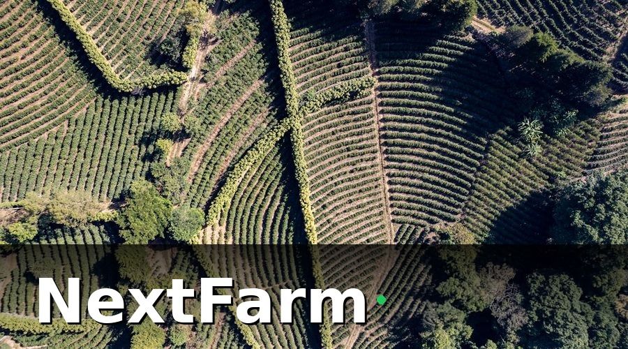 NextFarm — Tại sao vườn cây ăn quả cần tích hợp dữ liệu với kế toán?