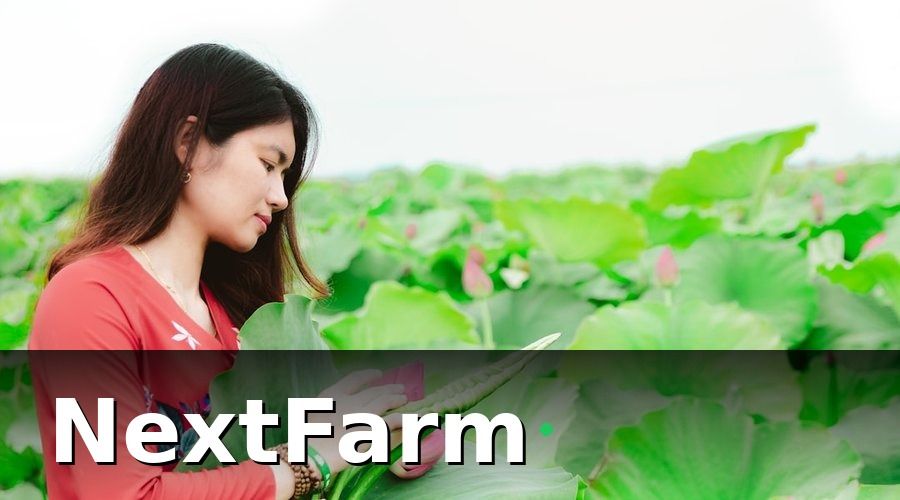 NextFarm — Tích hợp vườn hoạt động như thế nào trên thực tế?