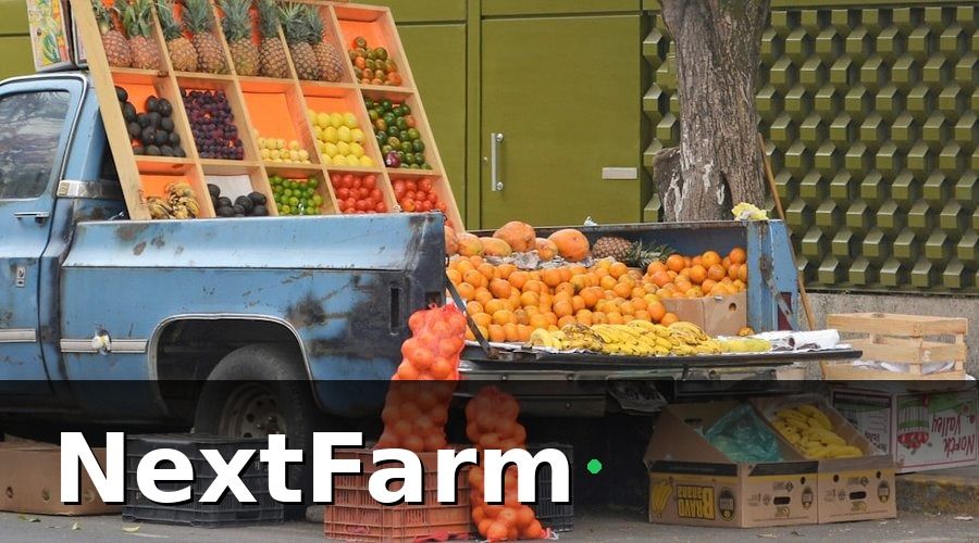NextFarm — Những lợi ích cụ thể khi tích hợp vườn cây ăn quả với kế toán