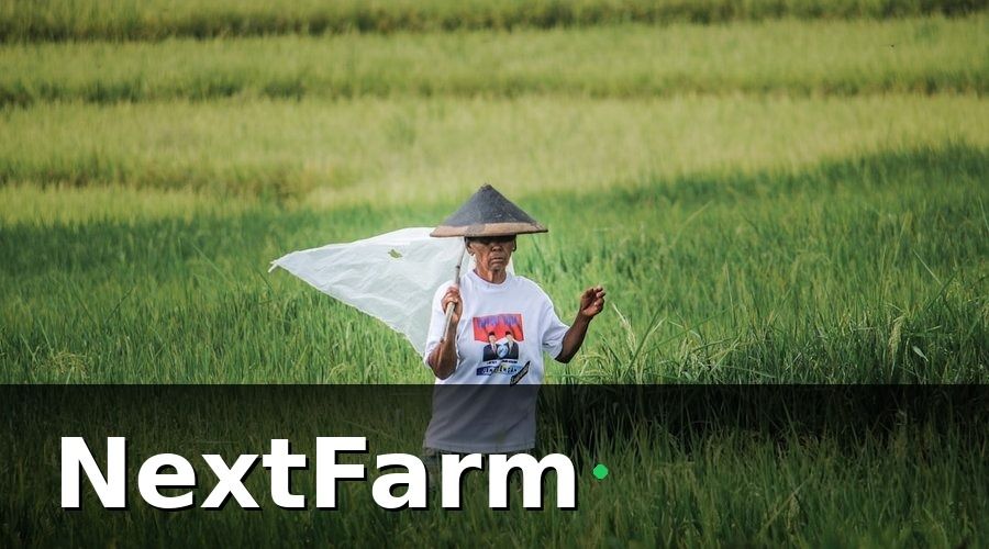 NextFarm — Tại Sao Tiêu Chuẩn An Toàn Thực Phẩm Ngày Càng Quan Trọng?