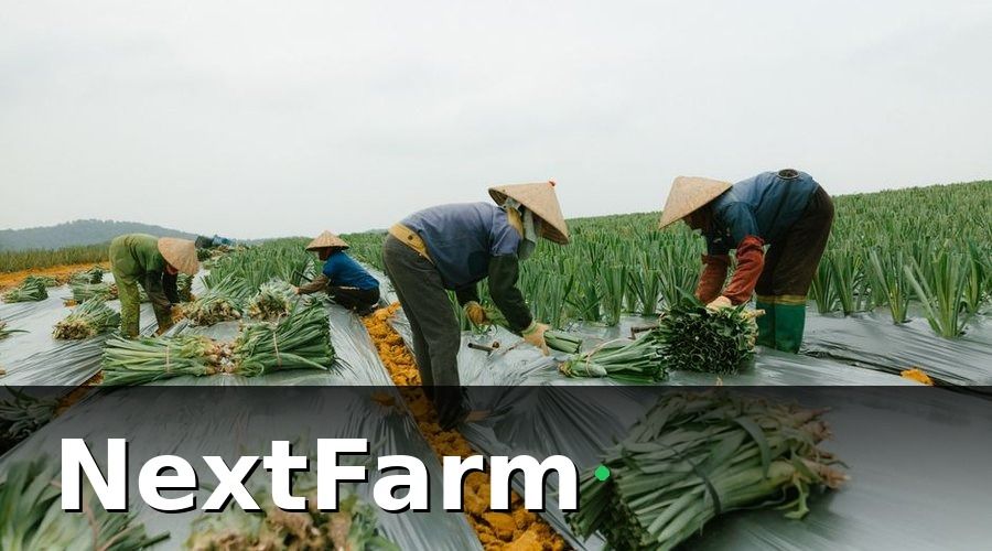 NextFarm — Các Tiêu Chuẩn An Toàn Thực Phẩm Phổ Biến Nhất Tại Việt Nam