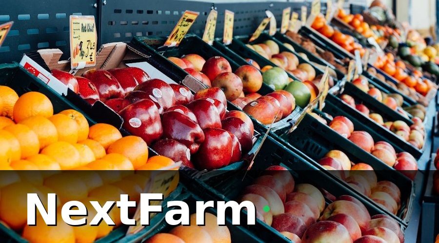 NextFarm — Mã QR Hoạt Động Như Thế Nào Trong Hệ Thống Truy Xuất?