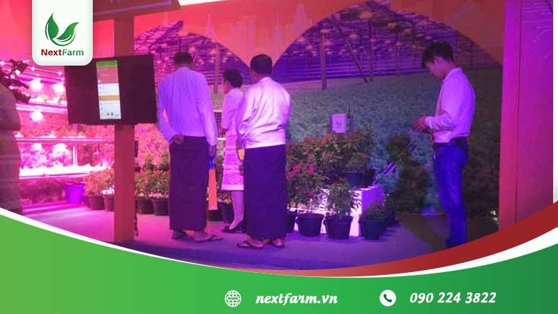 Triển khai Giải pháp Nông Nghiệp Thông Minh 4.0 NextX cho Lotus Farm
