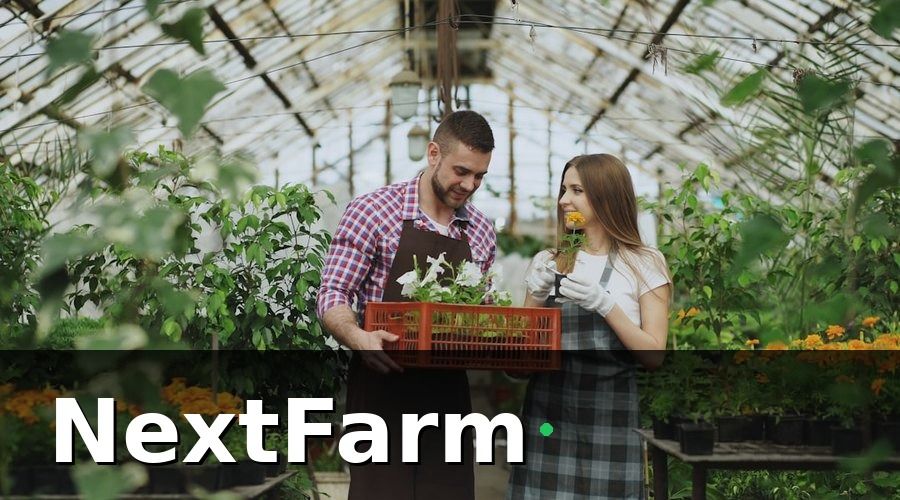 NextFarm — 1. Chuẩn Bị Nhà Kính Trước Khi Trồng Cà Chua