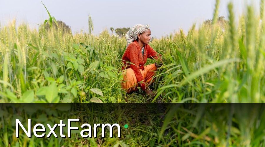 NextFarm — Bước 2 — Ghi Nhật Ký Canh Tác Nha Đam Theo Từng Giai Đoạn