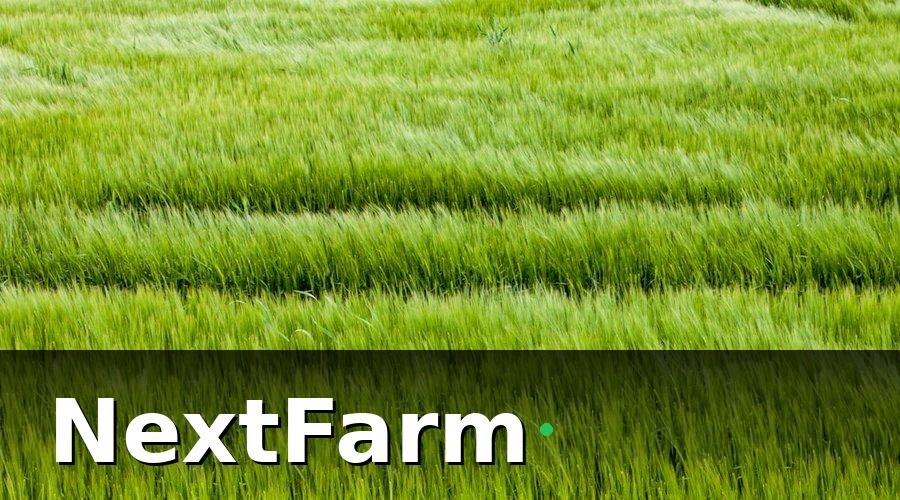 NextFarm — 1. Hiểu Đúng Lúa Hữu Cơ Là Gì — Trước Khi Bắt Đầu