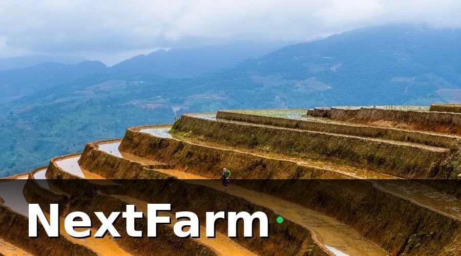 NextFarm — 2. Chuẩn Bị Đất Và Vùng Trồng Đạt Chuẩn Hữu Cơ
