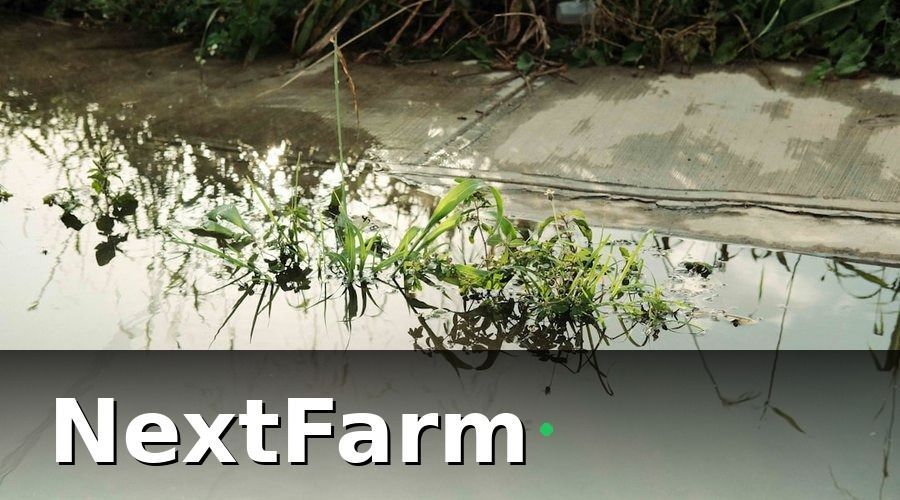 NextFarm — 3. Quy Trình Trồng Lúa Hữu Cơ Từng Bước