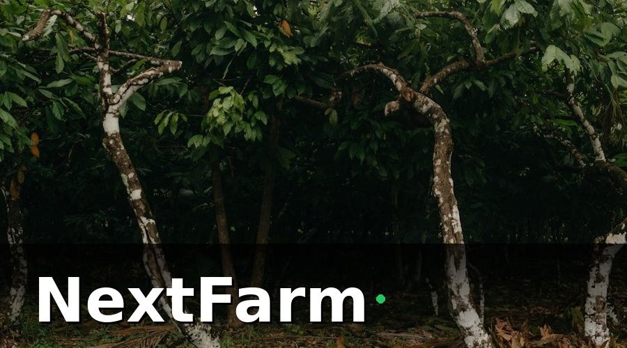 NextFarm — 1. Điều Kiện Sinh Thái Thích Hợp Để Trồng Măng Cụt