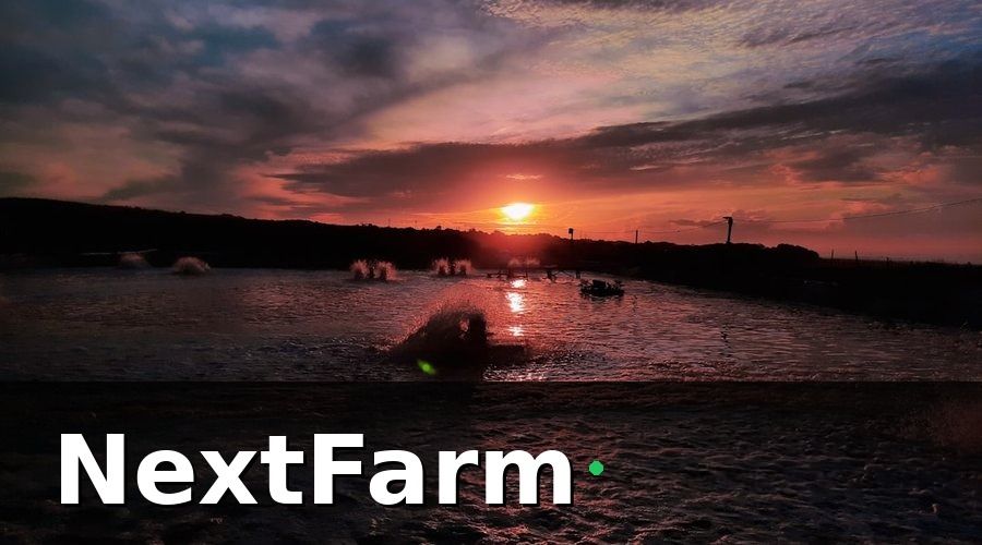 NextFarm — Truy Xuất Nguồn Gốc Trong Ao Nuôi Công Nghiệp Là Gì?