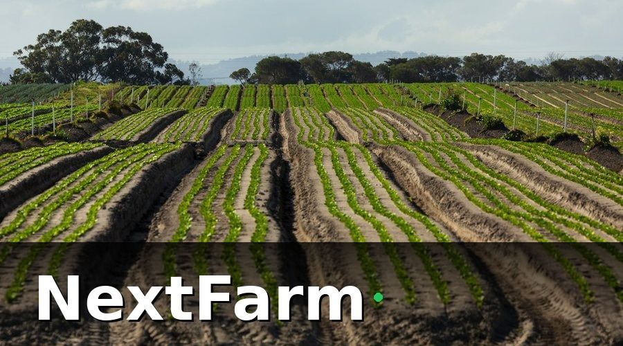 NextFarm — Tại sao dữ liệu cảm biến đất trở thành “bằng chứng” quan trọng?