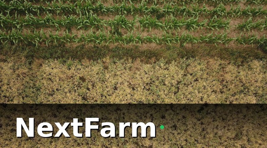 NextFarm — Yêu cầu tối thiểu về phần cứng cảm biến