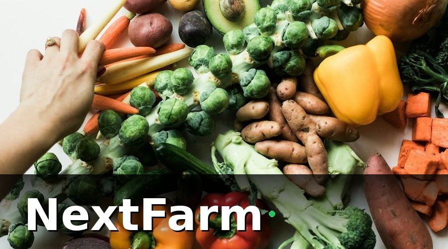NextFarm — Các bước triển khai tối thiểu cho doanh nghiệp