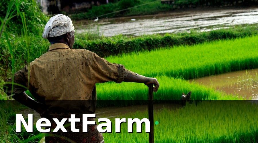 NextFarm — Sai lầm phổ biến khiến cơ sở HACCP không đạt yêu cầu truy xuất