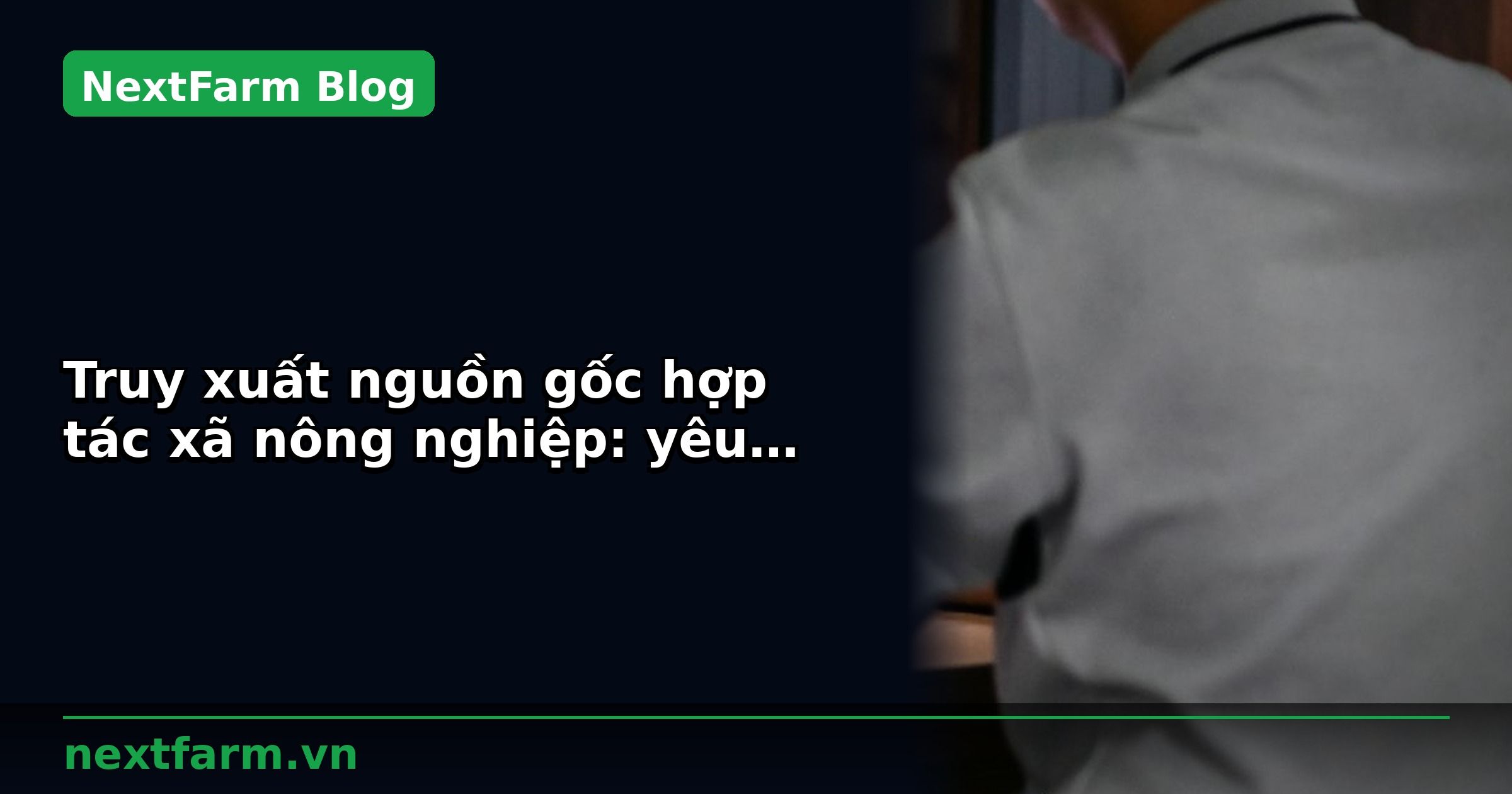 Truy xuất nguồn gốc hợp tác xã nông nghiệp: yêu cầu tối thiểu | NextFarm