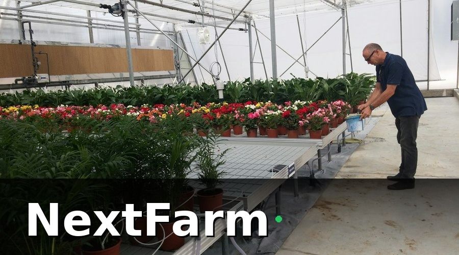 NextFarm — Tại sao IoT lại là yếu tố bắt buộc?