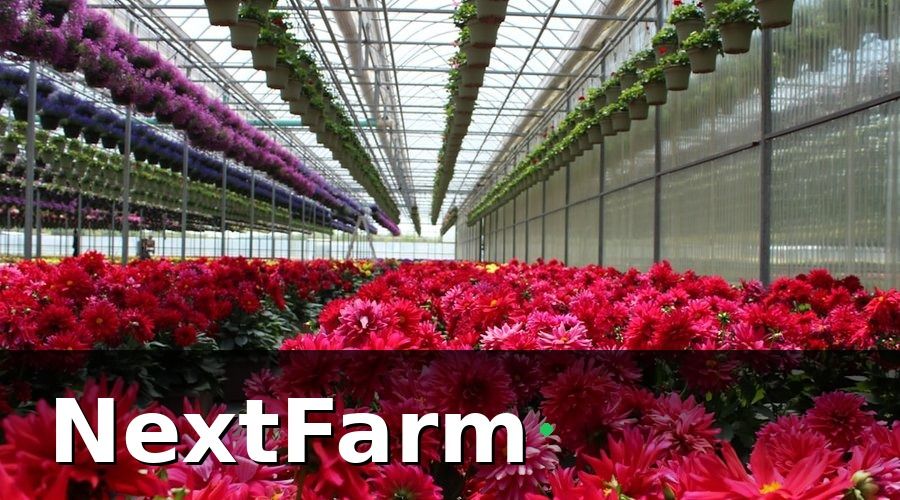 NextFarm — Tại Sao Nhà Kính Công Nghệ Cao Cần Truy Xuất Nguồn Gốc?