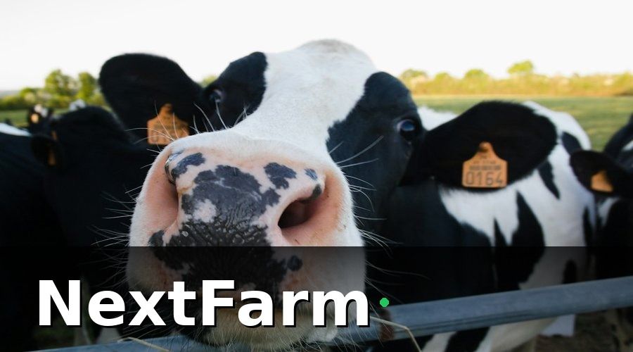 NextFarm — Tại sao truy xuất nguồn gốc lại quan trọng với trang trại smart farming?