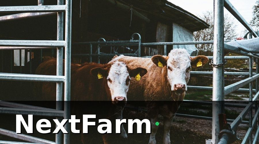 NextFarm — Tại Sao Truy Xuất Nguồn Gốc Bò Thịt Trở Thành Yêu Cầu Bắt Buộc?