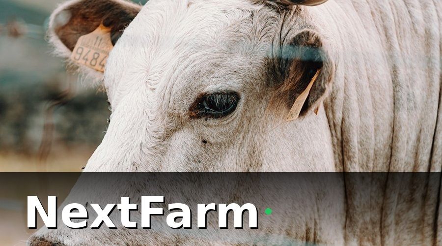 NextFarm — Các Thành Phần Cốt Lõi Của Hệ Thống Truy Xuất Nguồn Gốc Bò Thịt