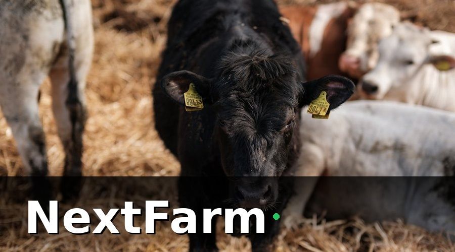 NextFarm — 5 Yêu Cầu Tối Thiểu Về Hồ Sơ Truy Xuất Nguồn Gốc