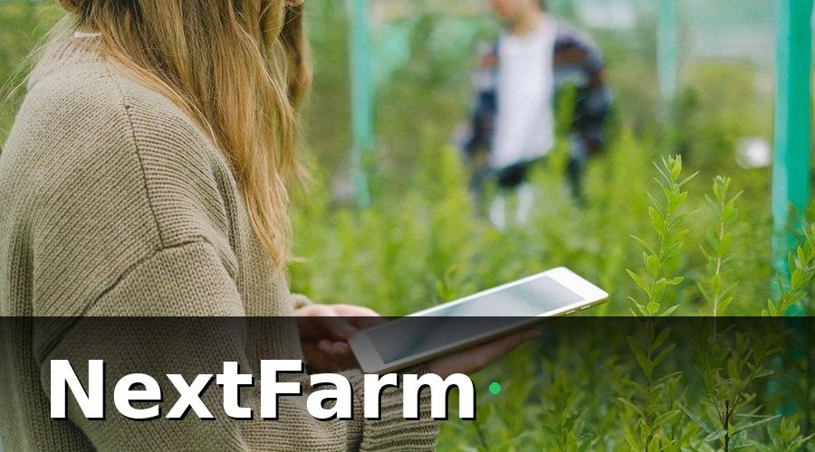 NextFarm — Từ Hồ Sơ Giấy Lên Hệ Thống Số: Cần Gì?