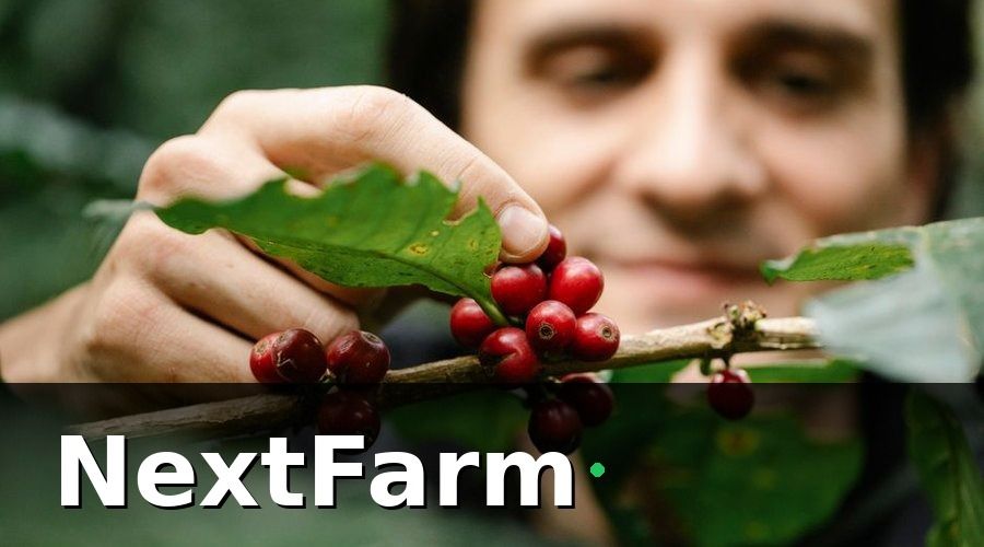 NextFarm — Tại sao truy xuất nguồn gốc cà phê ngày càng quan trọng?