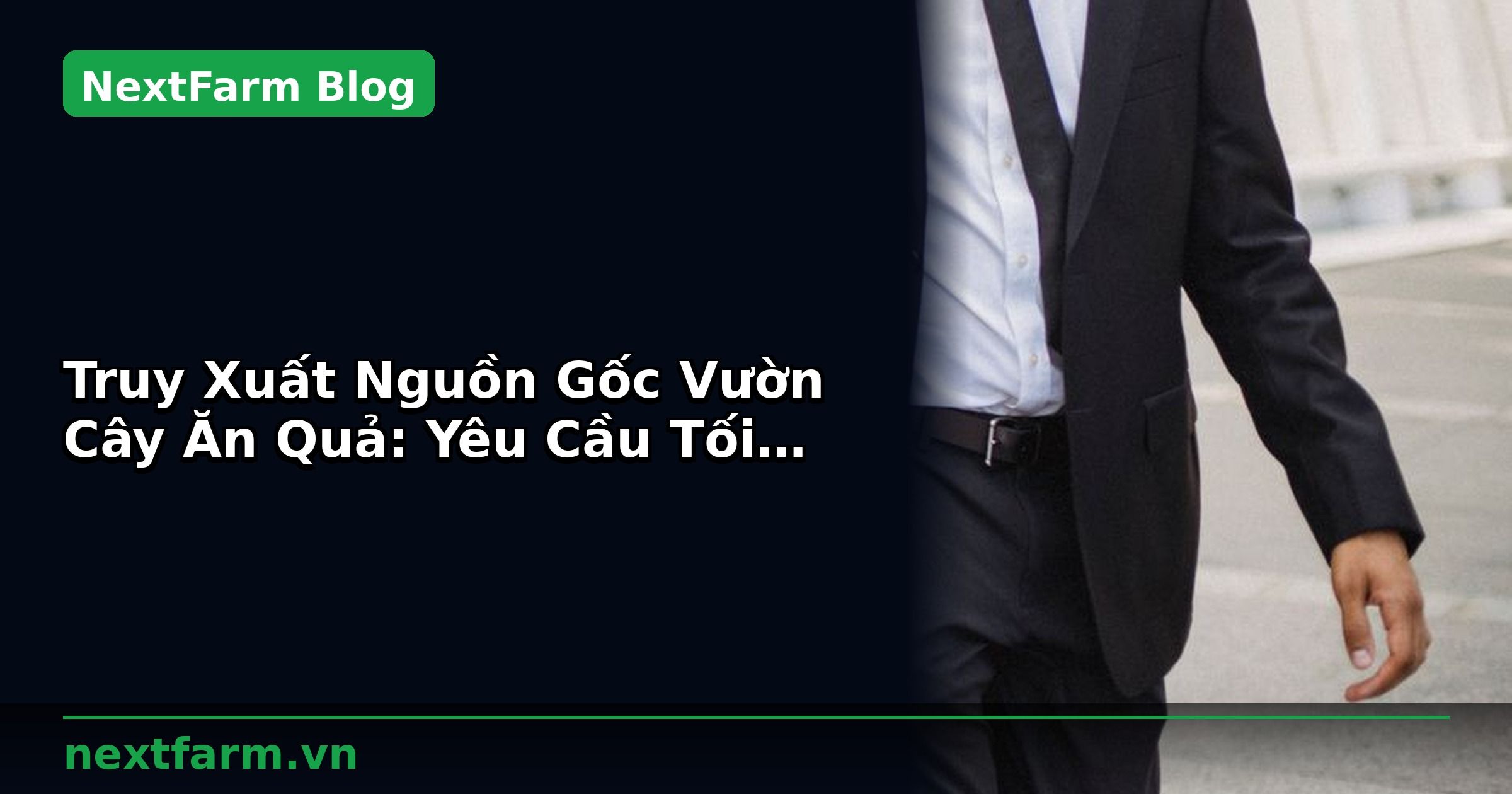 Truy Xuất Nguồn Gốc Vườn Cây Ăn Quả: Yêu Cầu Tối Thiểu | NextFarm
