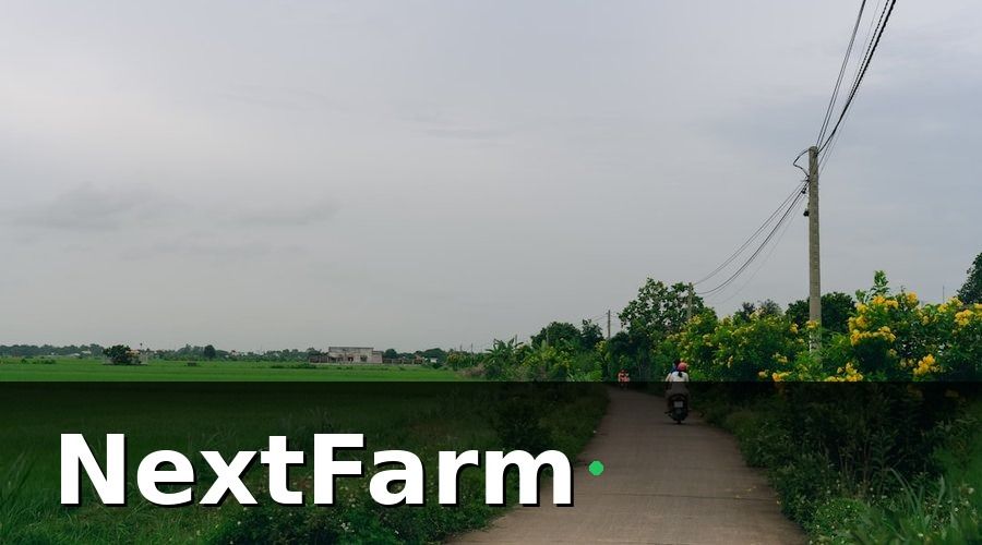 NextFarm — Tại sao truy xuất nguồn gốc vườn tiêu ngày càng bắt buộc?