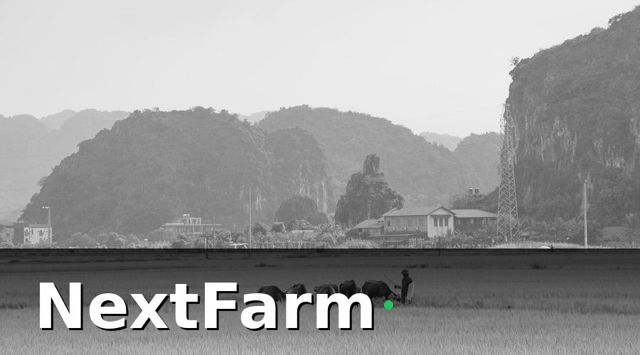 NextFarm — Tại Sao Nông Dân Việt Nam Cần Tự Động Hóa Ngay Bây Giờ?